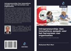Bookcover of Intrapreneurship: Een innovatieve aanpak voor het hervormen van organisaties