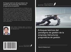 Capa do livro de Enfoques teóricos del paradigma de gestión de la empresa; Estructuras pragmáticas de gestión 
