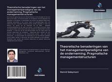Copertina di Theoretische benaderingen van het managementparadigma van de onderneming; Pragmatische managementstructuren