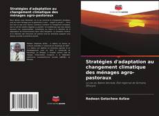 Portada del libro de Stratégies d'adaptation au changement climatique des ménages agro-pastoraux