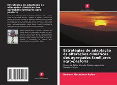 Capa do livro de Estratégias de adaptação às alterações climáticas dos agregados familiares agro-pastoris 