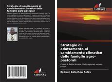 Copertina di Strategie di adattamento al cambiamento climatico delle famiglie agro-pastorali