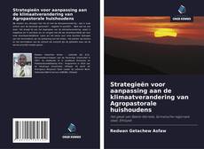 Bookcover of Strategieën voor aanpassing aan de klimaatverandering van Agropastorale huishoudens