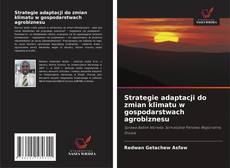 Portada del libro de Strategie adaptacji do zmian klimatu w gospodarstwach agrobiznesu