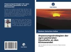 Capa do livro de Anpassungsstrategien der agro-pastoralen Haushalte an den Klimawandel 