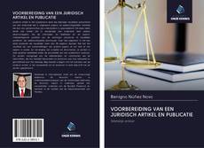 VOORBEREIDING VAN EEN JURIDISCH ARTIKEL EN PUBLICATIE kitap kapağı