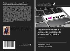 Factores que afectan a la satisfacción laboral en la administración pública: kitap kapağı