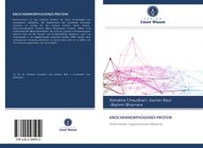 Bookcover of KNOCHENMORPHOGENES PROTEIN