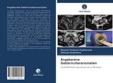 Bookcover of Angeborene Gebärmutteranomalien