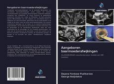 Buchcover von Aangeboren baarmoederafwijkingen