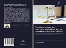 Bookcover of Tenuitvoerlegging van openbare en civiele acties met betrekking tot de immuniteiten