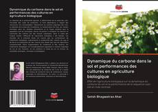 Bookcover of Dynamique du carbone dans le sol et performances des cultures en agriculture biologique