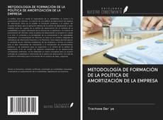 Copertina di METODOLOGÍA DE FORMACIÓN DE LA POLÍTICA DE AMORTIZACIÓN DE LA EMPRESA