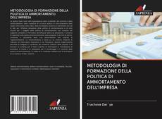 Bookcover of METODOLOGIA DI FORMAZIONE DELLA POLITICA DI AMMORTAMENTO DELL'IMPRESA