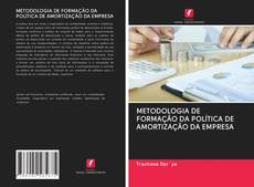 Capa do livro de METODOLOGIA DE FORMAÇÃO DA POLÍTICA DE AMORTIZAÇÃO DA EMPRESA 