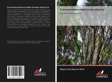 Buchcover von Frammentazione della foresta atlantica