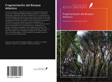 Fragmentación del Bosque Atlántico kitap kapağı