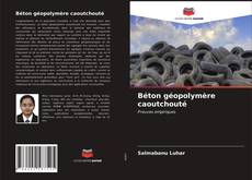 Béton géopolymère caoutchouté kitap kapağı