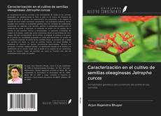 Caracterización en el cultivo de semillas oleaginosas Jatropha curcas kitap kapağı