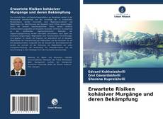 Bookcover of Erwartete Risiken kohäsiver Murgänge und deren Bekämpfung