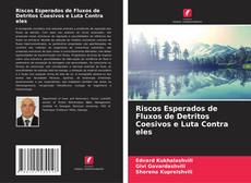 Bookcover of Riscos Esperados de Fluxos de Detritos Coesivos e Luta Contra eles