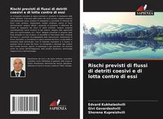 Buchcover von Rischi previsti di flussi di detriti coesivi e di lotta contro di essi