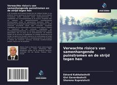 Bookcover of Verwachte risico's van samenhangende puinstromen en de strijd tegen hen