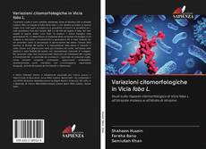 Buchcover von Variazioni citomorfologiche in Vicia faba L.