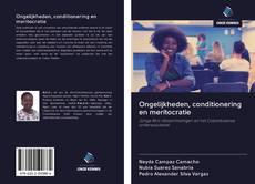 Bookcover of Ongelijkheden, conditionering en meritocratie