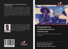 Bookcover of Disuguaglianze, condizionamento e meritocrazia