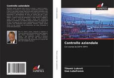 Bookcover of Controllo aziendale