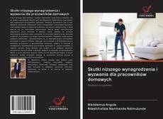 Buchcover von Skutki niższego wynagrodzenia i wyzwania dla pracowników domowych