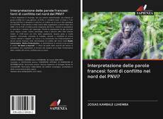 Bookcover of Interpretazione delle parole francesi: fonti di conflitto nel nord del PNVi?