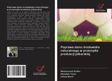 Bookcover of Poprawa stanu środowiska naturalnego w przemyśle produkcji piłkarskiej