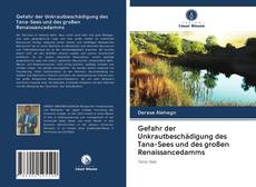 Borítókép a  Gefahr der Unkrautbeschädigung des Tana-Sees und des großen Renaissancedamms - hoz