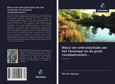 Bookcover of Risico van onkruidschade aan het Tanameer en de grote renaissancedam...