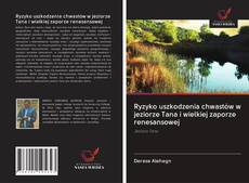 Buchcover von Ryzyko uszkodzenia chwastów w jeziorze Tana i wielkiej zaporze renesansowej