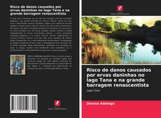 Portada del libro de Risco de danos causados por ervas daninhas no lago Tana e na grande barragem renascentista