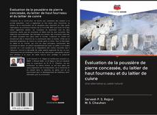 Bookcover of Évaluation de la poussière de pierre concassée, du laitier de haut fourneau et du laitier de cuivre
