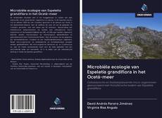 Bookcover of Microbiële ecologie van Espeletia grandiflora in het Ocetá-meer