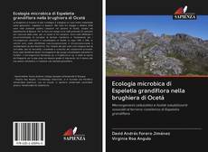 Copertina di Ecologia microbica di Espeletia grandiflora nella brughiera di Ocetá