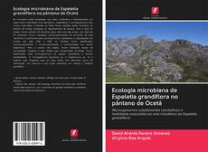 Copertina di Ecologia microbiana de Espeletia grandiflora no pântano de Ocetá