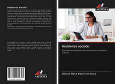 Assistenza sociale: kitap kapağı