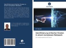 Buchcover von Identifizierung kritischer Knoten in einem komplexen Netzwerk