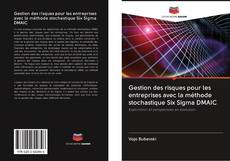 Gestion des risques pour les entreprises avec la méthode stochastique Six Sigma DMAIC kitap kapağı