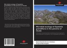 Bookcover of Microbial ecology of Espeletia grandiflora in the páramo of Ocetá