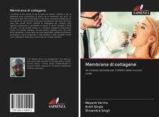 Bookcover of Membrana di collagene