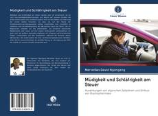 Capa do livro de Müdigkeit und Schläfrigkeit am Steuer 