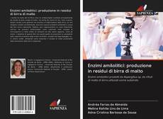 Bookcover of Enzimi amilolitici: produzione in residui di birra di malto