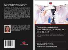 Bookcover of Enzymes amylolytiques : production dans les résidus de bière de malt